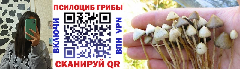 Псилоцибиновые грибы GOLDEN TEACHER  Купить  Анапа 